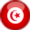 pays_destination_icone